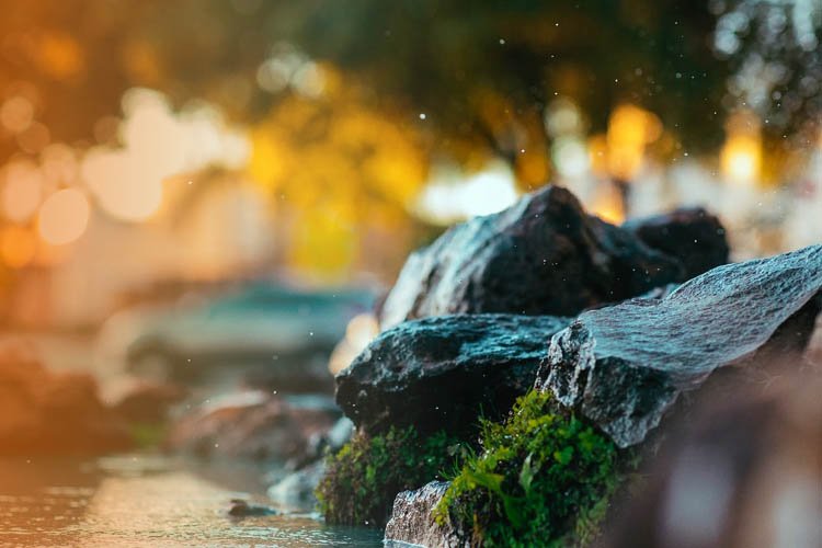 Whispers of Faith: Pilgrimage Stories from the Chardham Yatra 2024